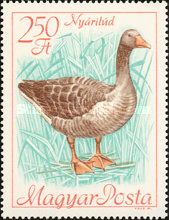 Stamp 2428