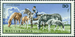 Stamp 2446