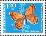 Stamp 2521