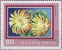 Stamp 2720