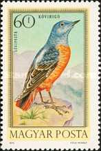 Stamp 2875