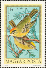 Stamp 2877