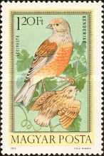 Stamp 2878