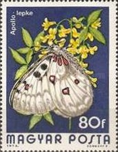 Stamp 3019