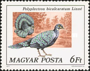 Stamp 3213