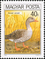 Stamp 3474