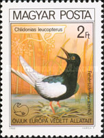 Stamp 3477