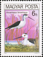 Stamp 3479