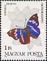 Stamp 3704