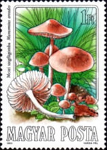 Stamp 3731