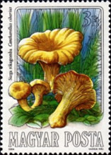 Stamp 3735