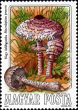 Stamp 3736