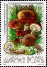 Stamp 3737