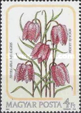 Stamp 3815