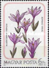 Stamp 3817