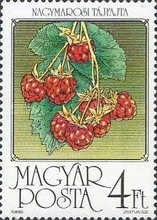 Stamp 3874