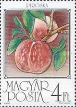 Stamp 3875