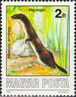 Stamp 3885