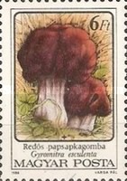 Stamp 3899