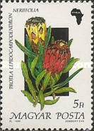 Stamp 4102