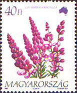 Stamp 4246