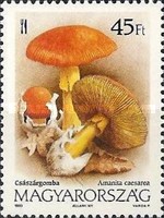 Stamp 4272