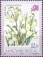 Stamp 4325