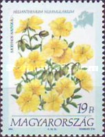 Stamp 4326