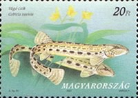 Stamp 4481