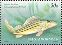 Stamp 4482