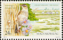 Stamp 4539