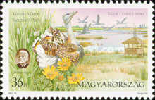 Stamp 4683