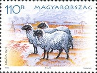 Stamp 5047