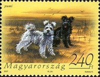 Stamp 5215