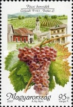 Stamp 5223