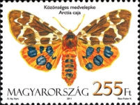 Stamp 5552