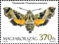 Stamp 5553