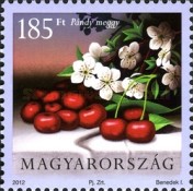 Stamp 5592