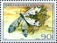 Stamp 5772