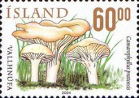 Stamp 1071