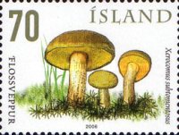 Stamp 1142