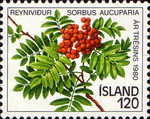 Stamp 555