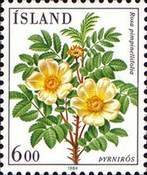 Stamp 613