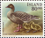 Stamp 716