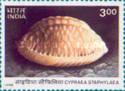 Stamp 1671