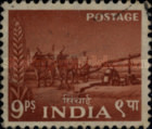 Stamp 243