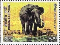 Stamp 2568