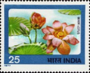 Stamp 725