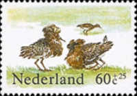 Stamp 1247