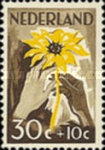 Stamp 524